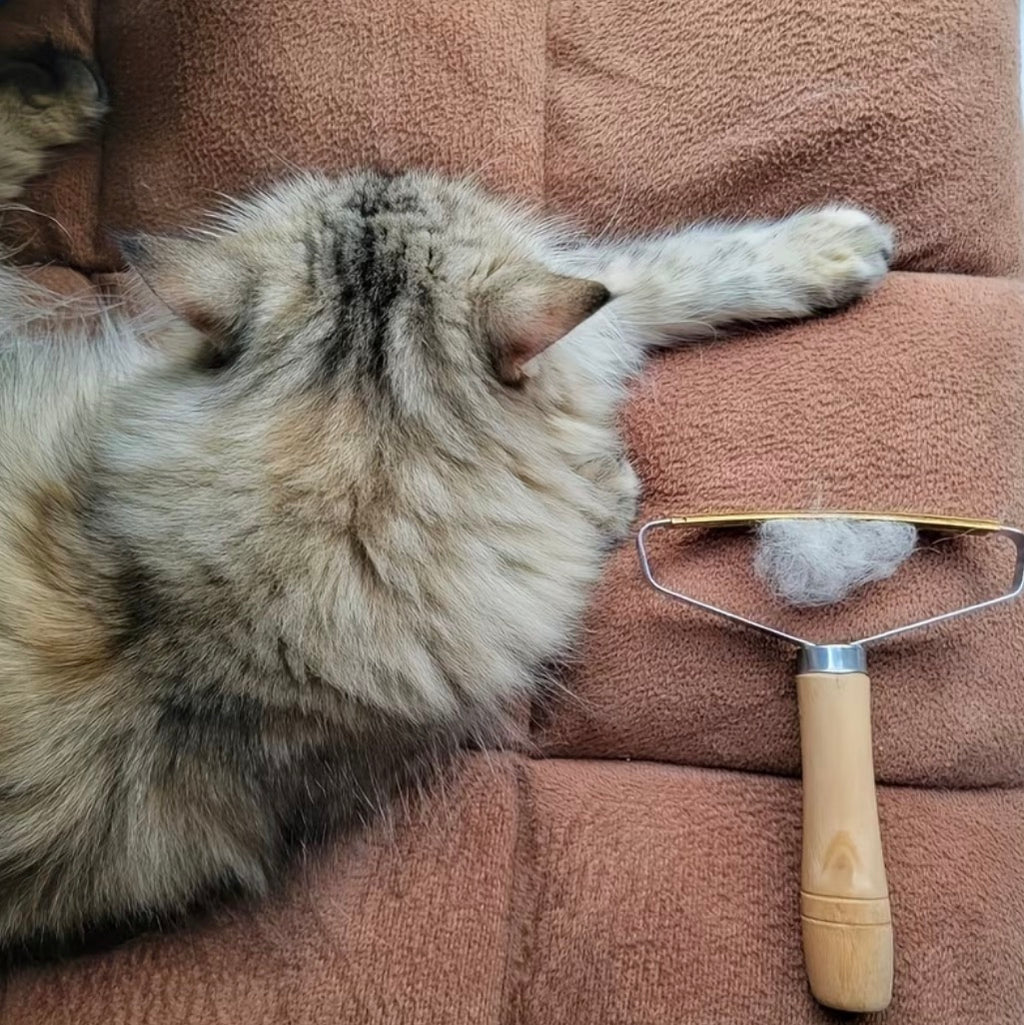 Pet hair remover