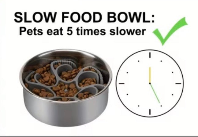 Slow Feeder Bowl Insert